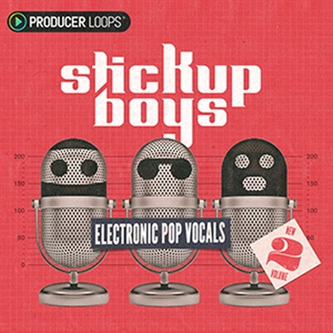 PRODUCER LOOPS STICK UP BOYS ELECTRONIC POP VOCALS VOL 2(オンライン納品)(2時間以内に納品)