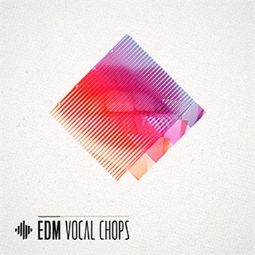 DIGINOIZ EDM VOCAL CHOPS(オンライン納品)(2時間以内に納品)