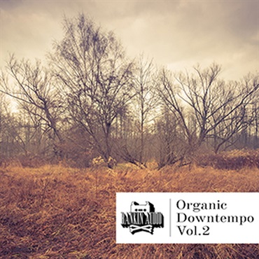 RANKIN AUDIO ORGANIC DOWNTEMPO VOL. 2(オンライン納品)(2時間以内に納品)