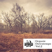 ORGANIC DOWNTEMPO VOL. 2(オンライン納品)(2時間以内に納品)