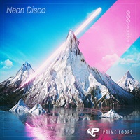 NEON DISCO(オンライン納品)(2時間以内に納品)