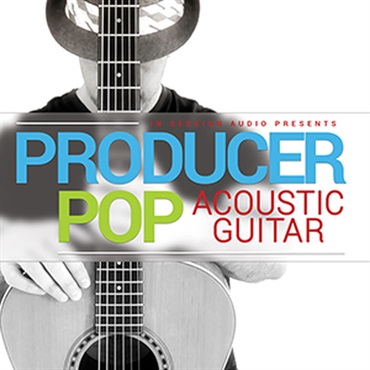 IN SESSION AUDIO PRODUCER POP ACOUSTIC GUITAR(オンライン納品)(2時間以内に納品)