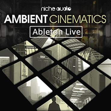 NICHE AUDIO AMBIENT CINEMATICS - LIVE(オンライン納品)(2時間以内に納品)