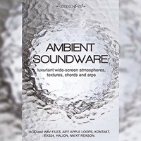 AMBIENT SOUNDWARE(オンライン納品)(2時間以内に納品)