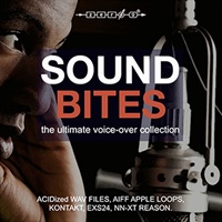 SOUND BITES(オンライン納品)(2時間以内に納品)