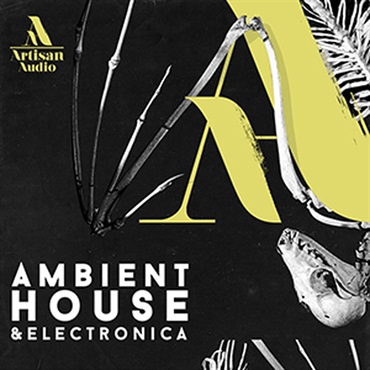 ARTISAN AUDIO 【ループマスターズ2026サマーセール！】AMBIENT HOUSE & ELECTRONICA(オンライン納品)(2時間以内に納品)