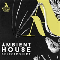 AMBIENT HOUSE & ELECTRONICA(オンライン納品)(2時間以内に納品)