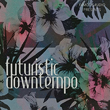FAMOUS AUDIO FUTURISTIC DOWNTEMPO(オンライン納品)(2時間以内に納品)