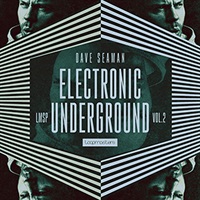 DAVE SEAMAN - ELECTRONIC UNDERGROUND VOL 2