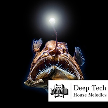RANKIN AUDIO DEEP TECH HOUSE MELODICS(オンライン納品)(2時間以内に納品)