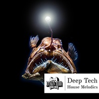 DEEP TECH HOUSE MELODICS(オンライン納品)(2時間以内に納品)