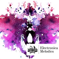 ELECTRONICA MELODICS(オンライン納品)(2時間以内に納品)