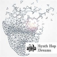 SYNTH HOP DREAMS(オンライン納品)(2時間以内に納品)