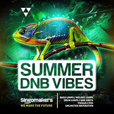SINGOMAKERS SUMMER DNB VIBES(オンライン納品)(2時間以内に納品)