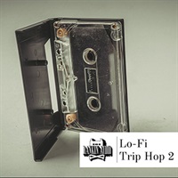 LO-FI TRIP HOP VOL. 2(オンライン納品)(2時間以内に納品)