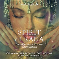 SPIRIT OF RAGA(オンライン納品)(2時間以内に納品)