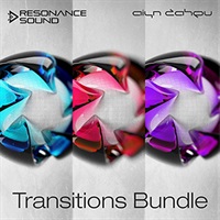TRANSITION DIVA BUNDLE(オンライン納品)(2時間以内に納品)