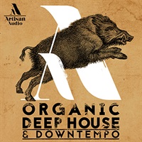 ORGANIC DEEP HOUSE & DOWNTEMPO(オンライン納品)(2時間以内に納品)