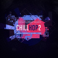 CHILL HOP 2(オンライン納品)(2時間以内に納品)