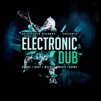 ELECTRONIC DUB(オンライン納品)(2時間以内に納品)