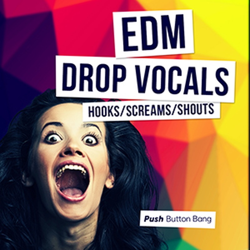 PUSH BUTTON BANG EDM DROP VOCALS - HOOKS， SCREAMS AND SHOUTS(オンライン納品)(2時間以内に納品)
