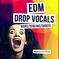 EDM DROP VOCALS - HOOKS， SCREAMS AND SHOUTS(オンライン納品)(2時間以内に納品)