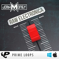 JOSH MONEY: RAW ELECTRONICA(オンライン納品)(2時間以内に納品)