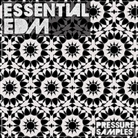 ESSENTIAL EDM(オンライン納品)(2時間以内に納品)