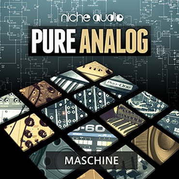 NICHE AUDIO PURE ANALOG - MASCHINE(オンライン納品)(2時間以内に納品)