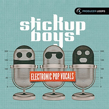 PRODUCER LOOPS STICK UP BOYS ELECTRONIC POP VOCALS(オンライン納品)(2時間以内に納品)