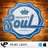 MIGHTY SOUL(オンライン納品)(2時間以内に納品)