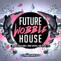 FUTURE WOBBLE HOUSE