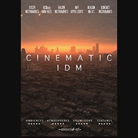 CINEMATIC IDM(オンライン納品)(2時間以内に納品)