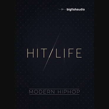 BIG FISH AUDIO HIT LIFE(オンライン納品)(2時間以内に納品)