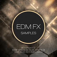 【ブルーゾーンSF系効果音サンプルパックが50%OFF！】EDM FX SAMPLES(オンライン納品)(2時間以内に納品)