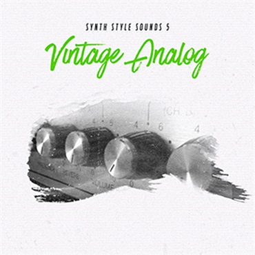 DIGINOIZ SYNTH STYLE SOUNDS 5(オンライン納品)(2時間以内に納品)