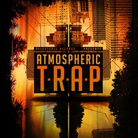 ATMOSPHERIC TRAP(オンライン納品)(2時間以内に納品)