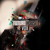 FUTURE HOUSE VOX(オンライン納品)(2時間以内に納品)