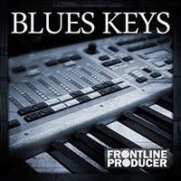 【厳選サンプルパック・シンセプリセットが約40%OFF！】BLUES KEYS(オンライン納品)(2時間以内に納品)