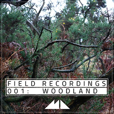 MODEAUDIO FIELD RECORDINGS 001 - WOODLAND(オンライン納品)(2時間以内に納品)