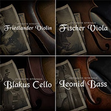 EMBERTONE INTIMATE STRINGS SOLO BUNDLE(オンライン納品)(2時間以内に納品)