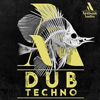 DUB TECHNO(オンライン納品)(2時間以内に納品)