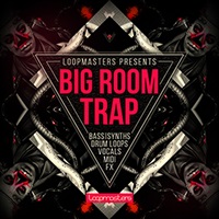 BIG ROOM TRAP
