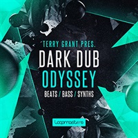 TERRY GRANT PRESENTS - DARK DUB ODYSSEY