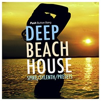 DEEP BEACH HOUSE SPIRE AND SYLENTH PRESETS(オンライン納品)(2時間以内に納品)