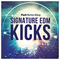 SIGNATURE EDM KICKS(オンライン納品)(2時間以内に納品)