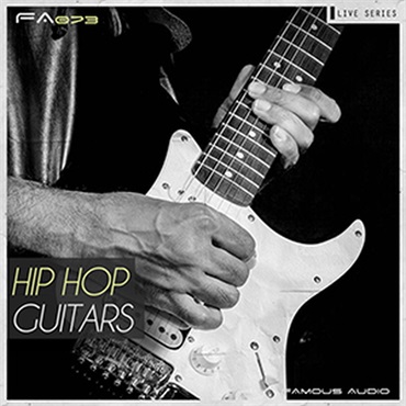 RV_samplepacks HIP HOP & SOUL GUITARS(オンライン納品)(2時間以内に納品)