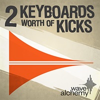 2 KEYBOARDS WORTH OF KICKS(オンライン納品)(2時間以内に納品)