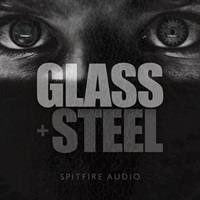 GLASS AND STEEL