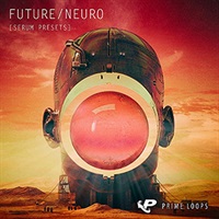 FUTURE NEURO - SERUM PRESETS(オンライン納品)(2時間以内に納品)